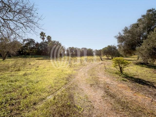 Terreno à venda Pera, Silves, Faro