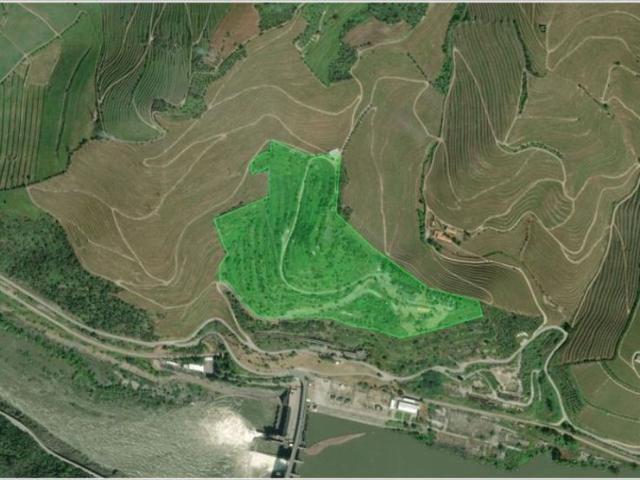 Terreno à venda Peso da Régua, Vila Real
