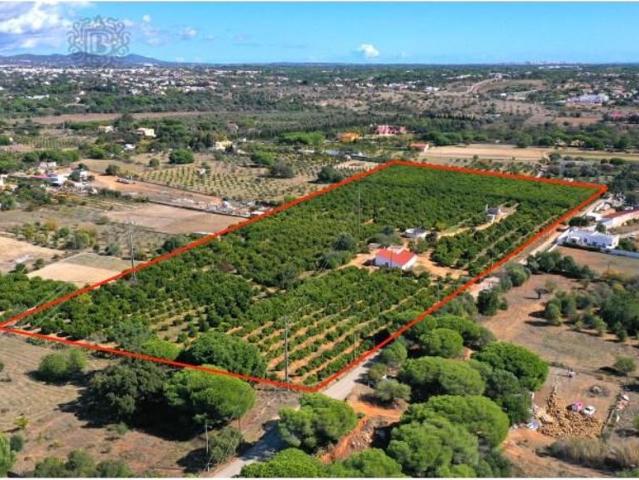 Terreno à venda Quarteira, Loulé, Faro