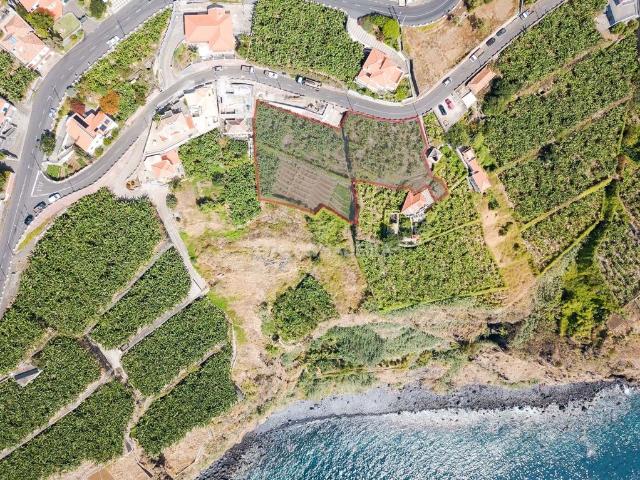 Terreno à venda Ribeira Brava, Madeira