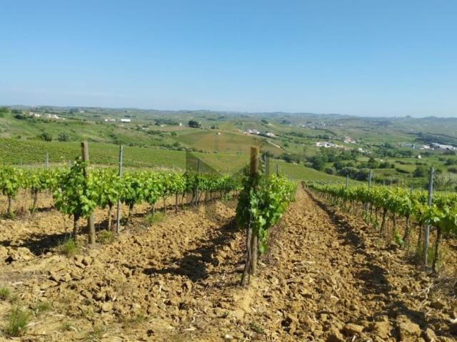 Terreno à venda Torres Vedras, Portugal