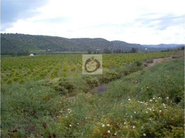 Terreno de 1531 m2 Asseca, Tavira, Faro
