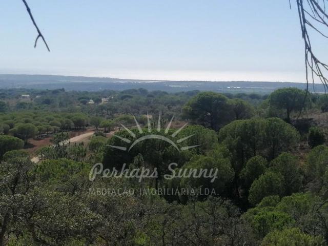 Terreno à venda Vale Figueira, Grândola, Setúbal