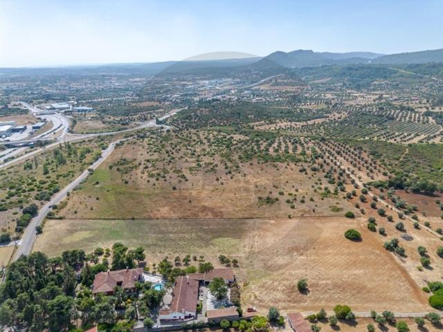 Terreno à venda Videla, Torres Novas, Santarém