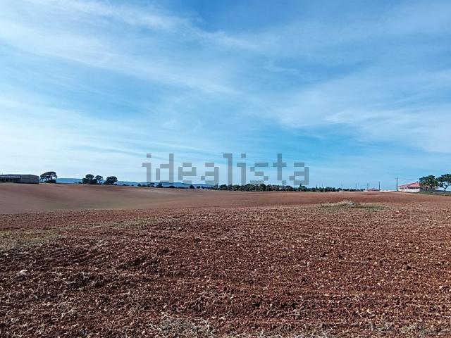 Terreno, Abitureiras