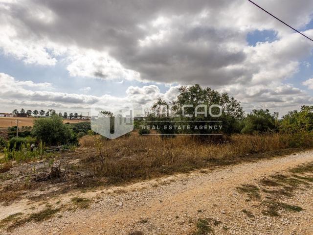 Terreno, Abitureiras