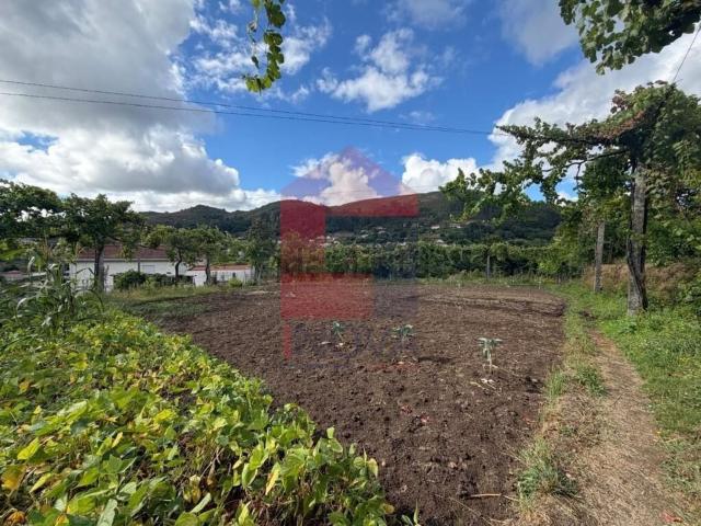 Terreno, Aboim da Nóbrega e Gondomar