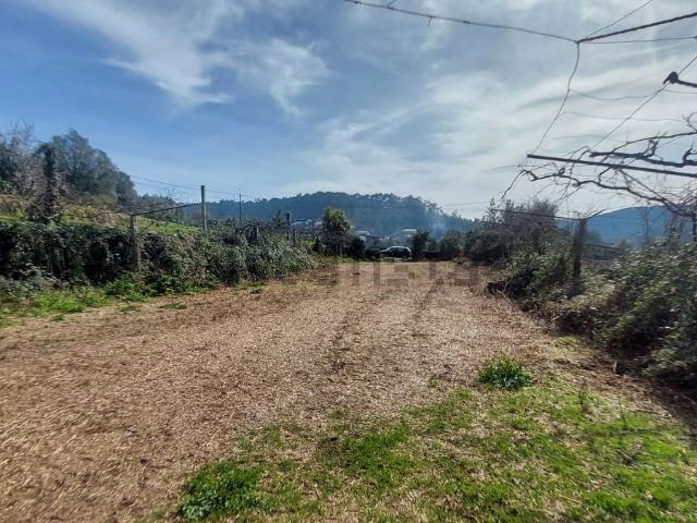 Terreno, Aborim