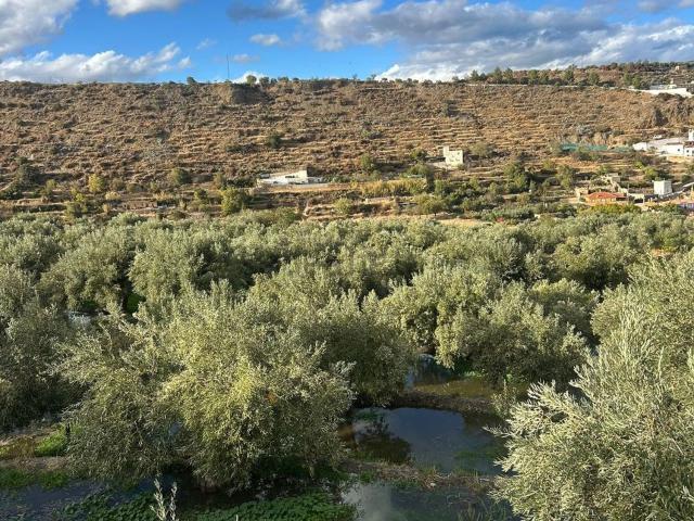 Terreno, Abla