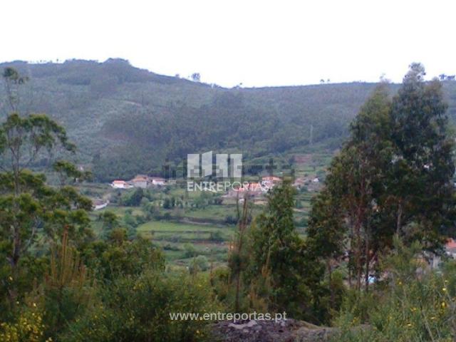 Terreno, Abragão