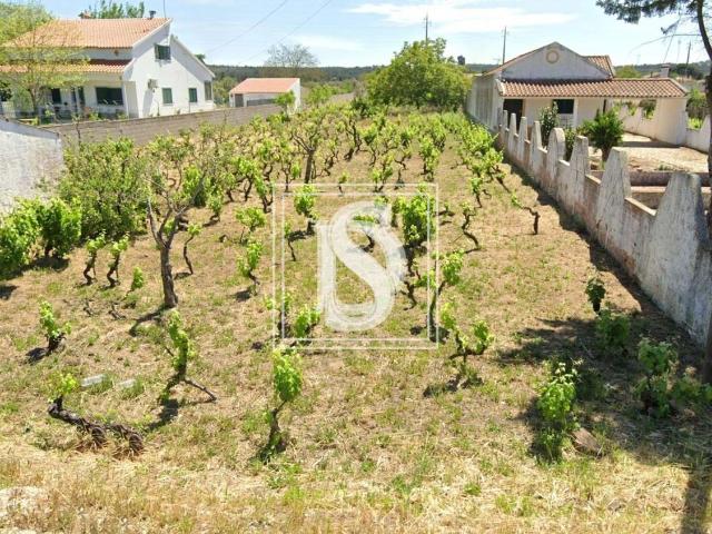 Terreno, Abrantes São Vicente e São João e Alferrarede, Abrantes | BPI Expresso Imobiliário
