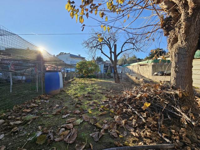 Terreno, Abrera