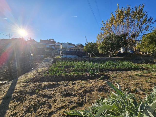 Terreno, Abrera