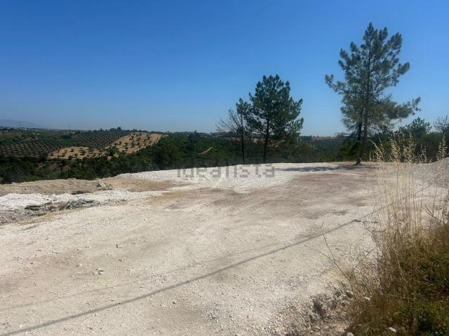 Terreno, Achete Azoia de Baixo Póvoa de Santarém