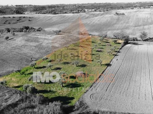 Terreno, Achete Azoia de Baixo Póvoa de Santarém