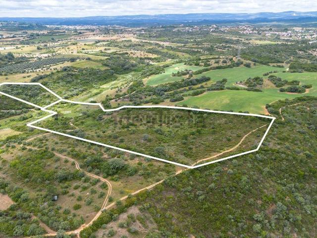 Terreno, Achete Azoia de Baixo Póvoa de Santarém