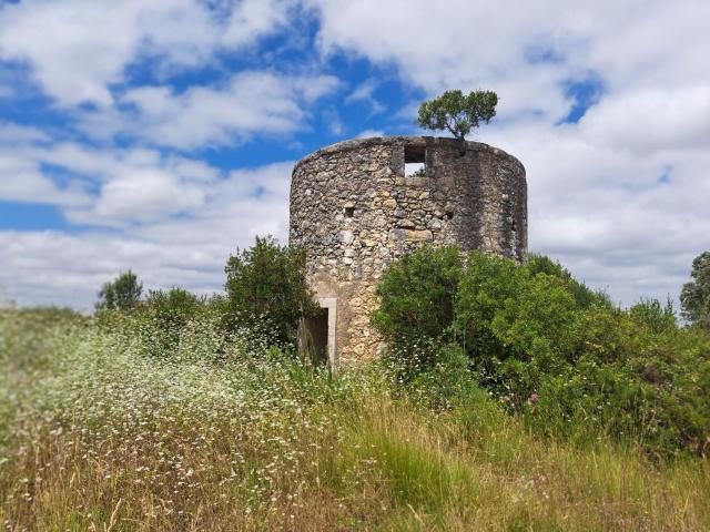 Terreno, Achete Azoia de Baixo Póvoa de Santarém