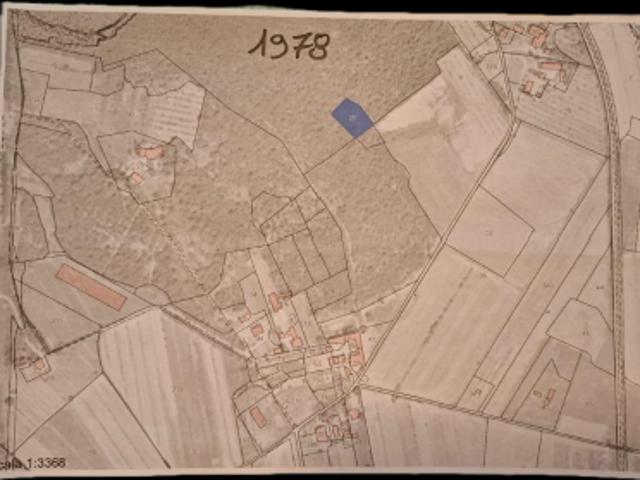 Terreno ad uso bosco misto