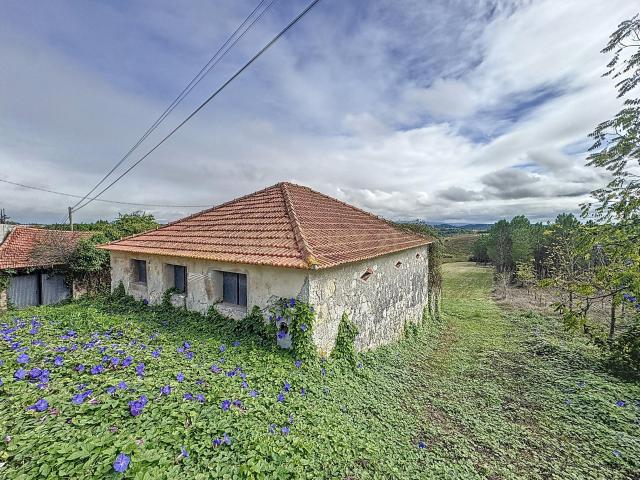 Terreno Adega Para Restaurar Montes Quinta Alcobaça