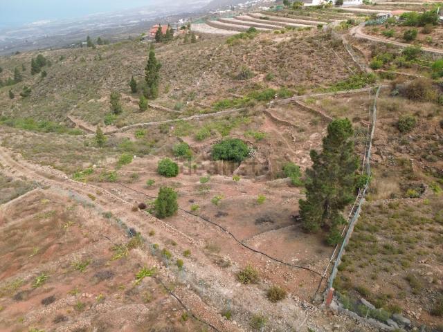 Terreno, Adeje