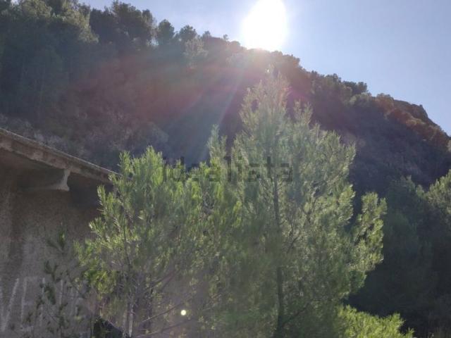 Terreno, Adsubia