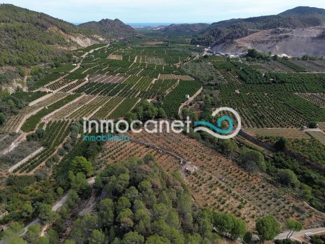 Terreno, Adsubia