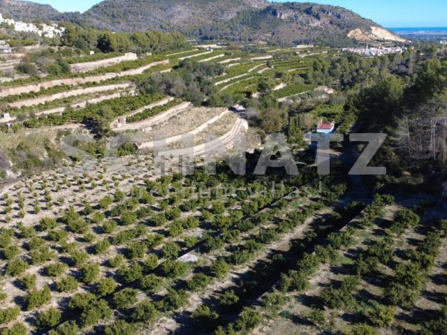 Terreno, Adsubia