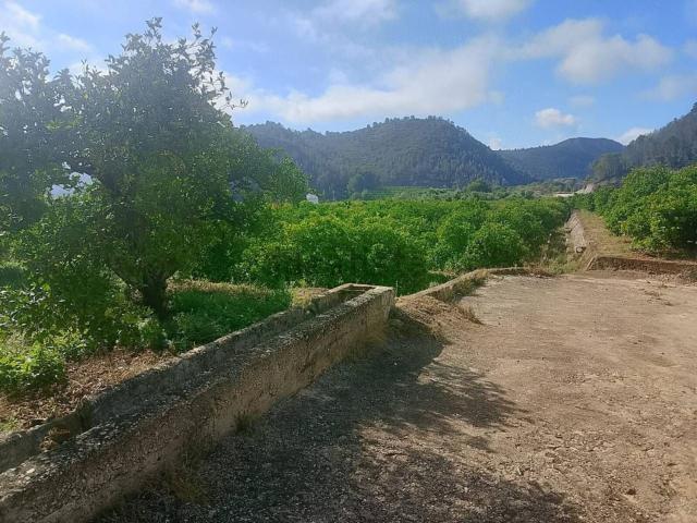 Terreno, Adsubia