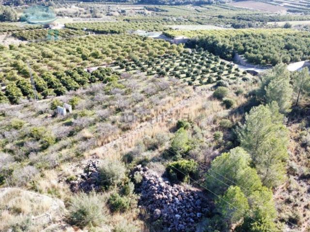 Terreno, Adsubia