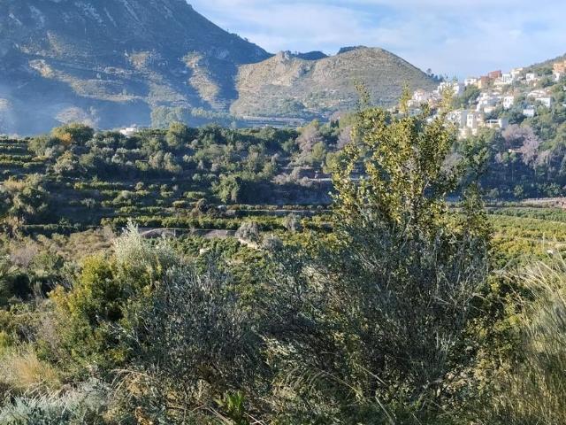 Terreno, Adsubia