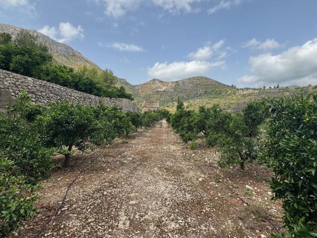 Terreno, Adsubia