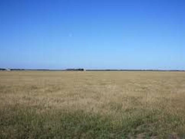terreno affitto