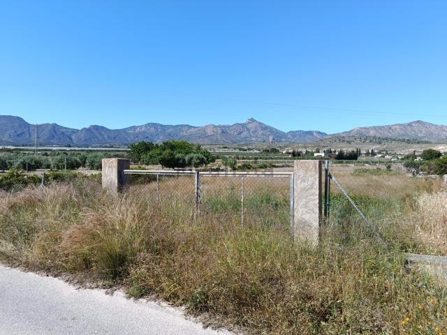 Terreno, Agost