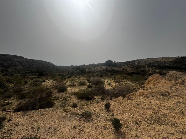 Terreno, Agost