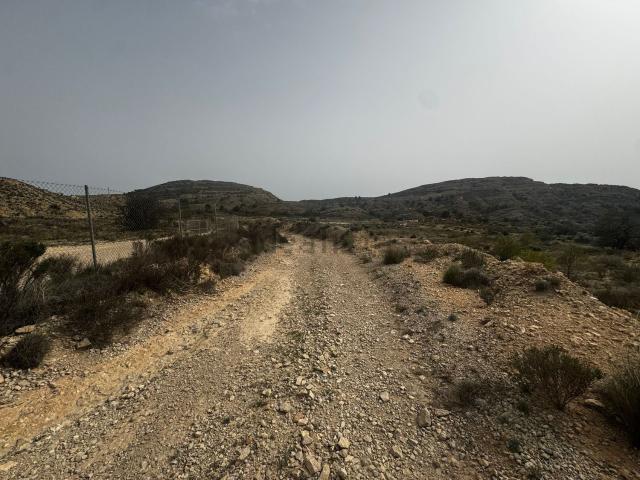 Terreno, Agost