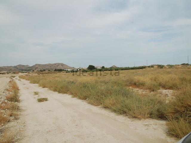 Terreno, Agost