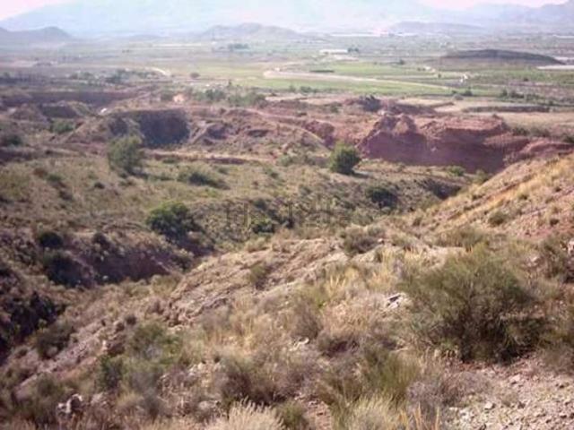 Terreno, Agost