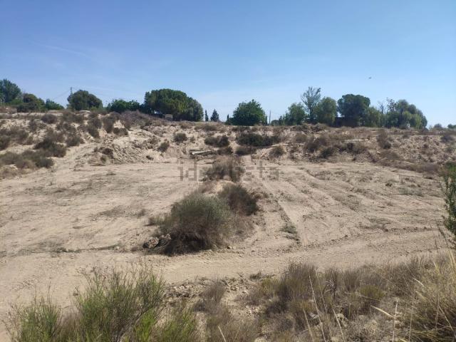 Terreno, Agost