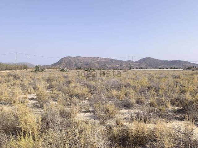 Terreno, Agost
