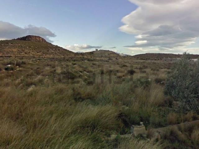 Terreno, Agost