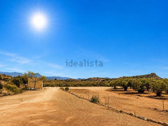 Terreno, Agost