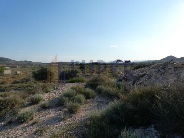Terreno, Agost