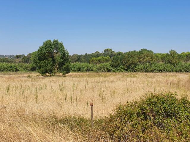 Terreno Agro Florestal 4.6 hectares em Cem Soldos