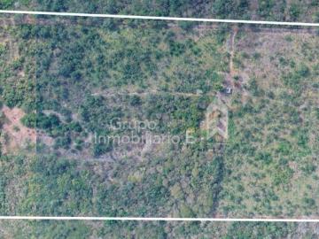 Terreno agropecuario en Plan del Río, Veracruz