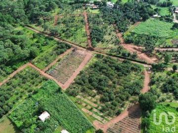 TERRENO AGRORESIDENCIAL EN CHIQUILISTLAN