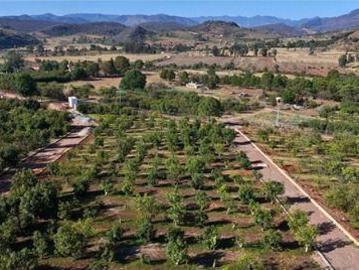 TERRENO AGRORESIDENCIAL EN CHIQUILISTLAN
