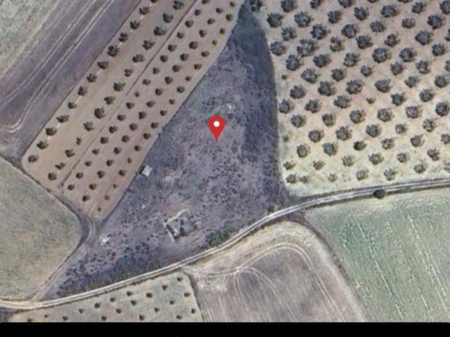 Terreno agrario Bollullos de la Mitación