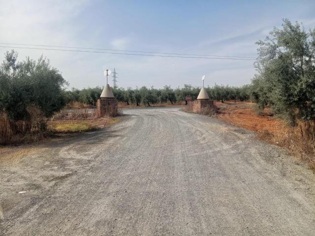 Terreno agrario Bollullos de la Mitación