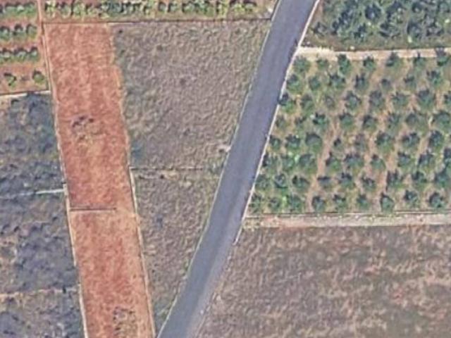Terreno agrario entre Villalonga y la Font muy ecónomico