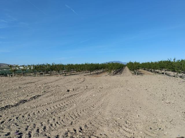 Terreno agrario en Lebor Totana
